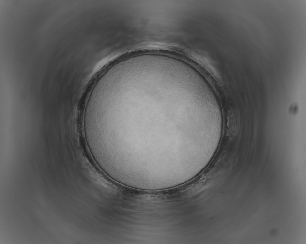 X0000094371404200711241950