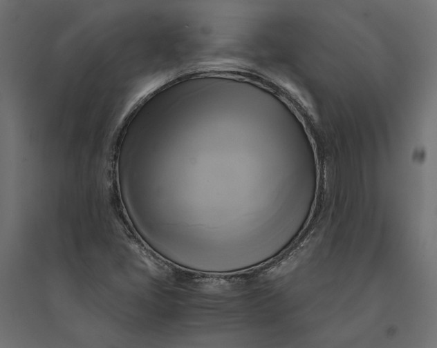 X0000094371405200711241950