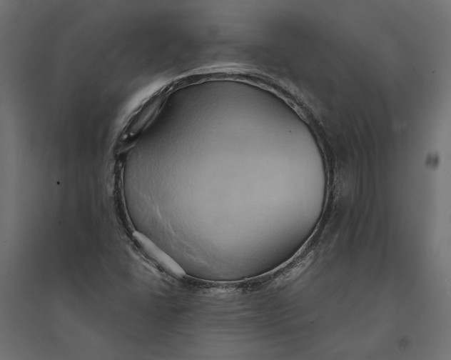 X0000094371406200711241950