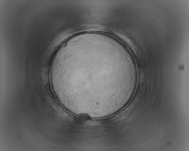 X0000094371407200711241950