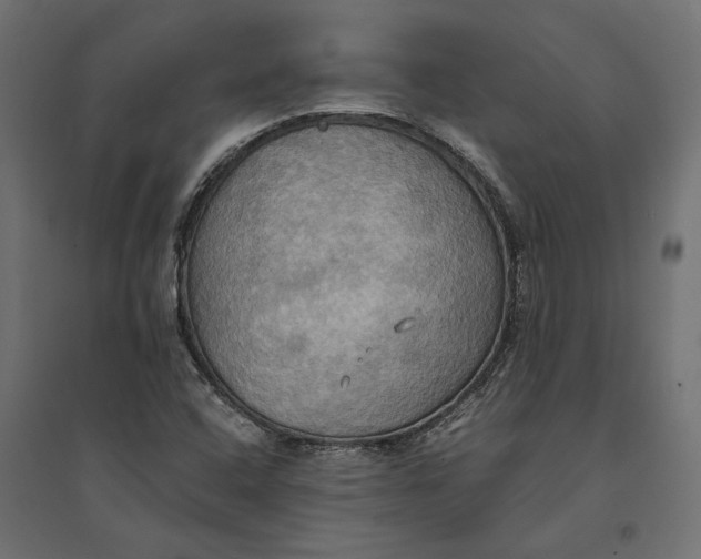 X0000094371408200711241950