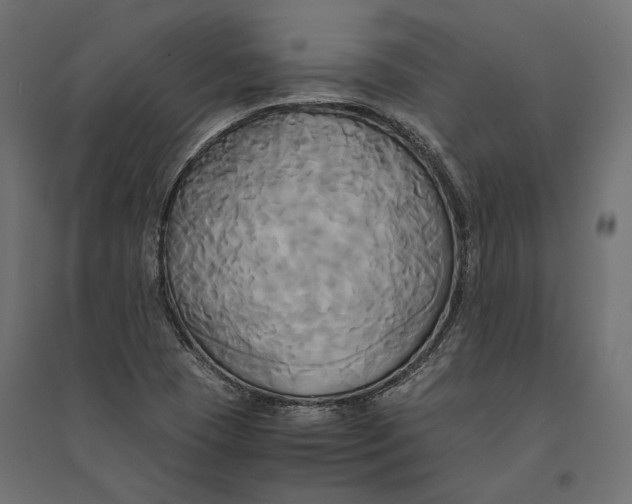 X0000094371409200711241950