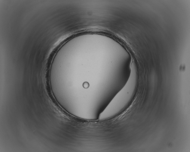 X0000094371410200711241950