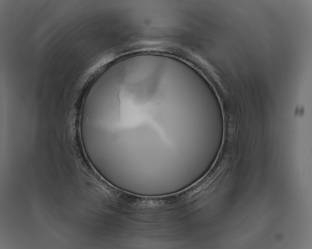 X0000094371411200711241950