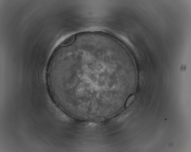 X0000094371412200711241950