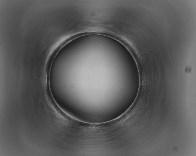 X0000094371414200711241950