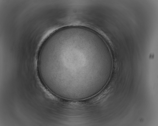 X0000094371416200711241950