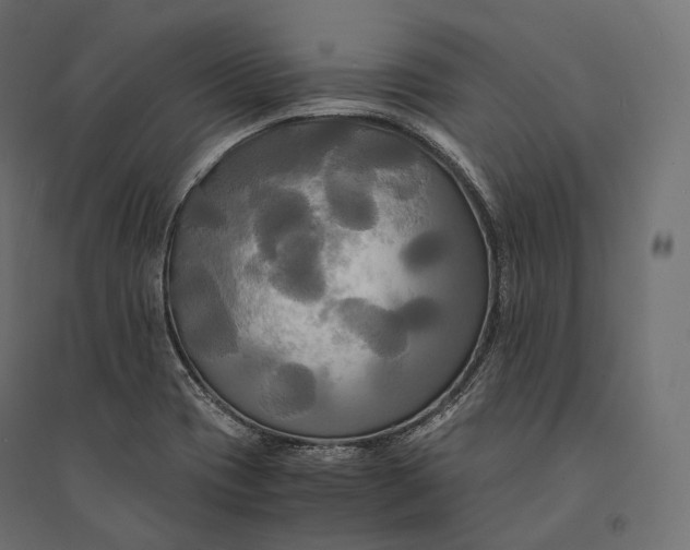 X0000094371417200711241950