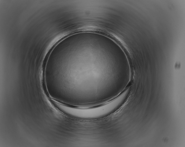 X0000094371418200711241950