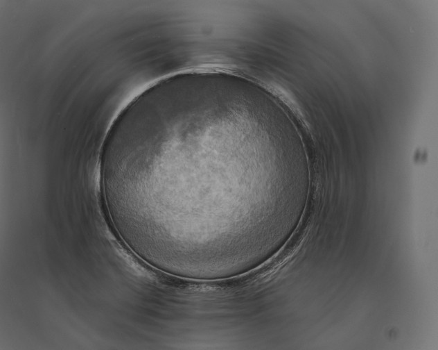 X0000094371420200711241950