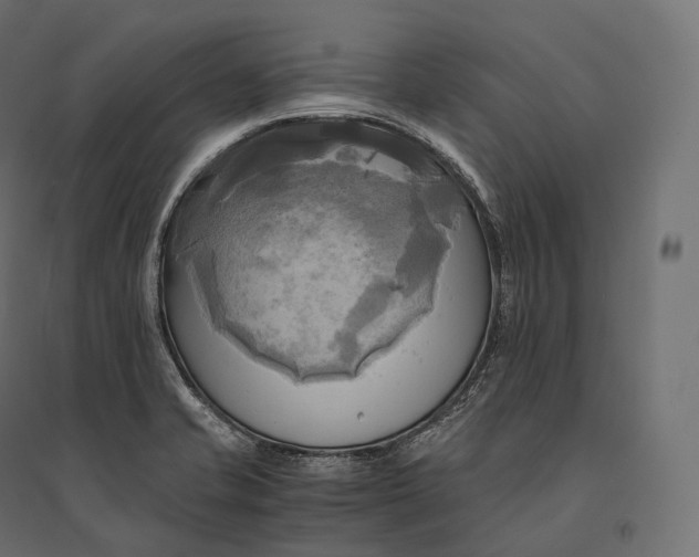 X0000094371421200711241950