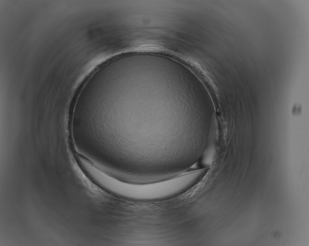 X0000094371422200711241950