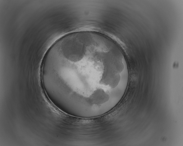 X0000094371423200711241950