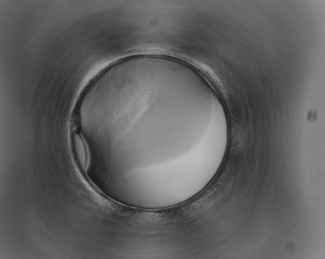 X0000094371424200711241950