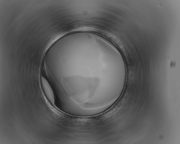 X0000094371425200711241950