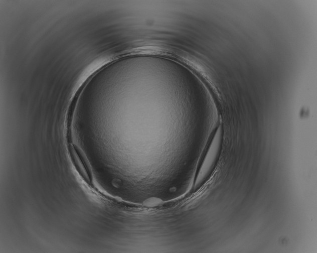 X0000094371426200711241950