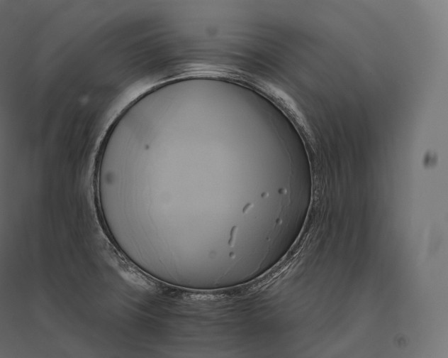 X0000094371427200711241950