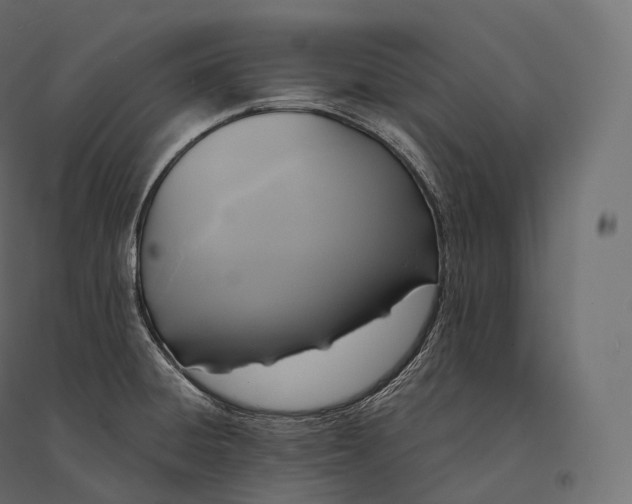 X0000094371428200711241950