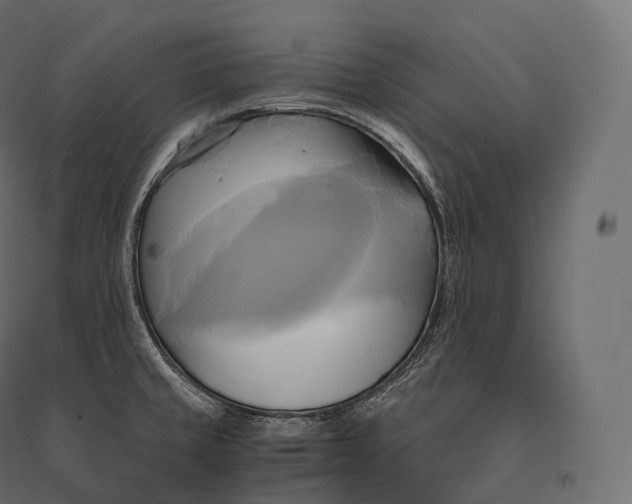 X0000094371429200711241950