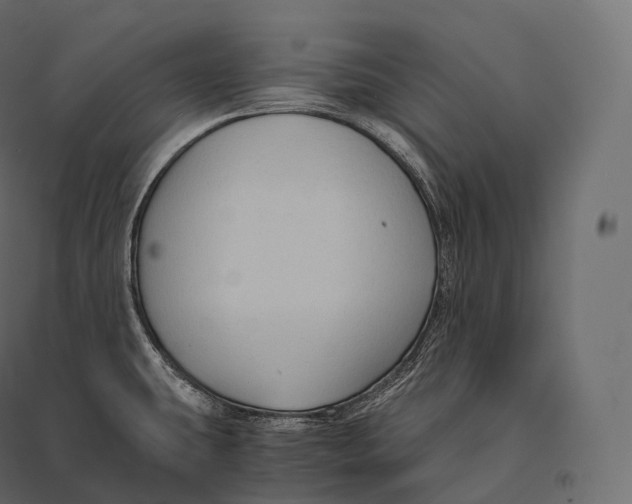 X0000094371431200711241950