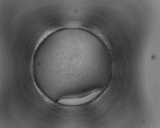 X0000094371432200711241950