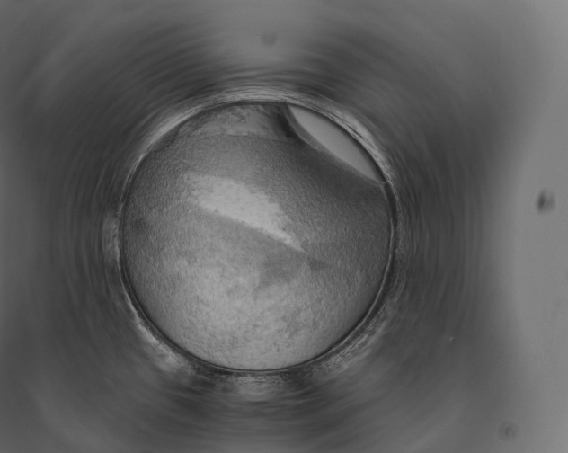 X0000094371433200711241950