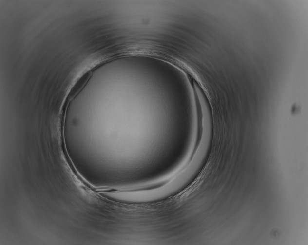 X0000094371434200711241950