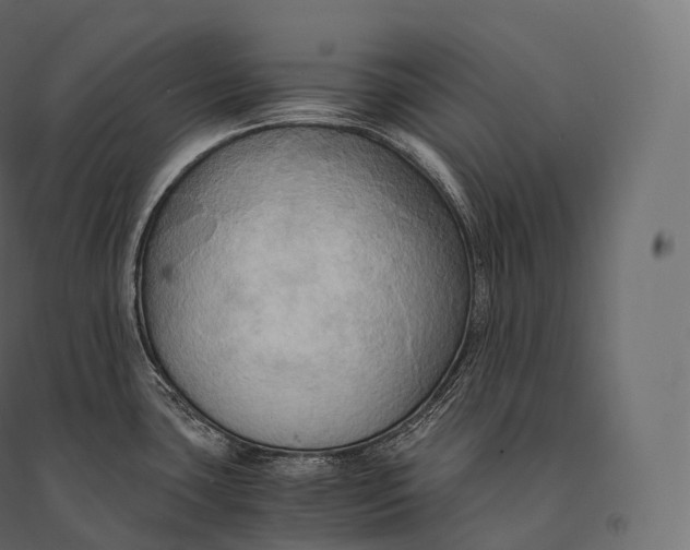 X0000094371435200711241950