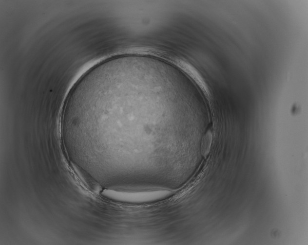 X0000094371436200711241950