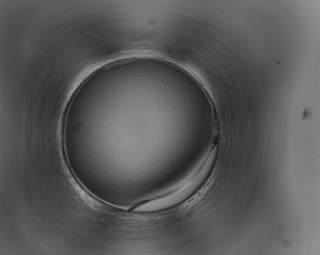 X0000094371438200711241950