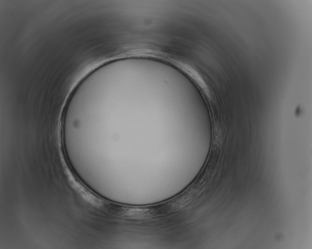 X0000094371439200711241950