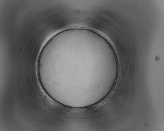 X0000094371440200711241950