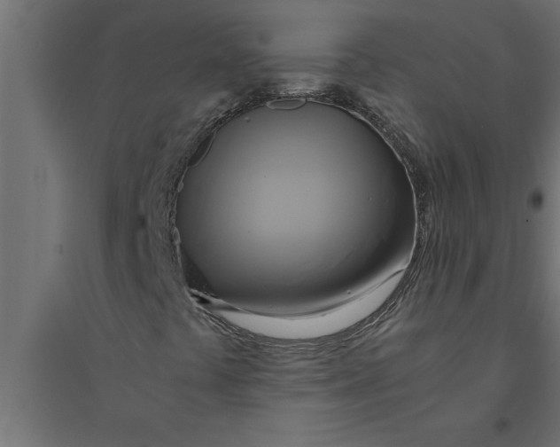 X0000094371441200711241949