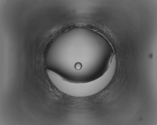 X0000094371445200711241949