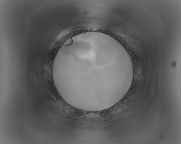 X0000094371446200711241949