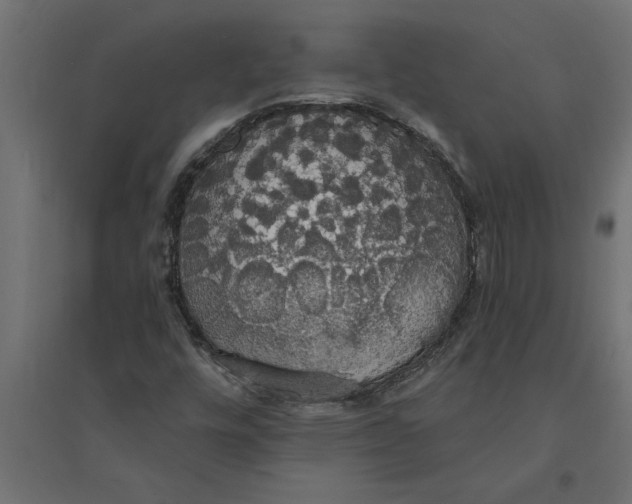 X0000094371448200711241949