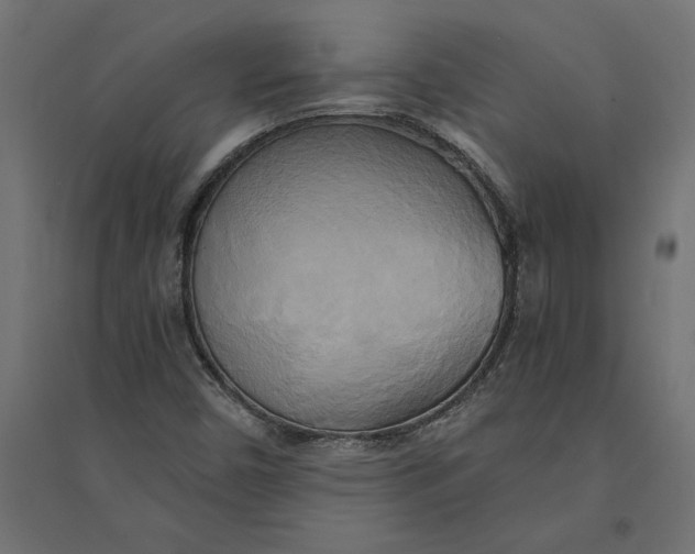 X0000094371450200711241949