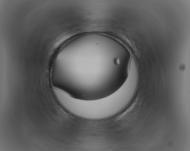 X0000094371453200711241949