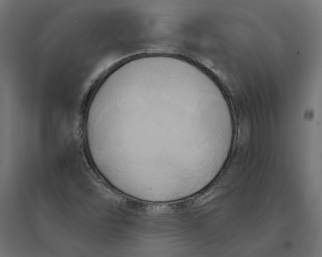 X0000094371454200711241949