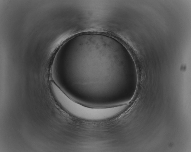 X0000094371455200711241949