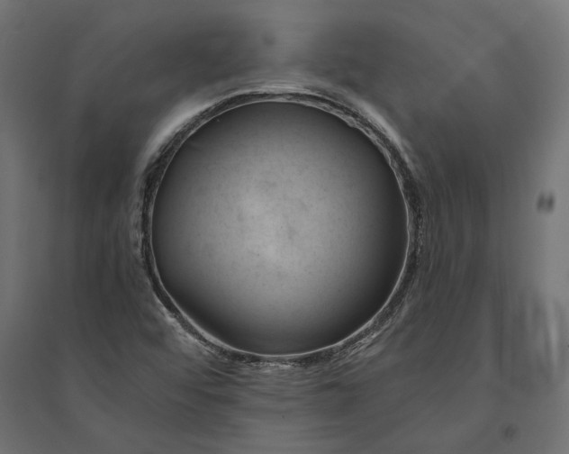 X0000094371456200711241949