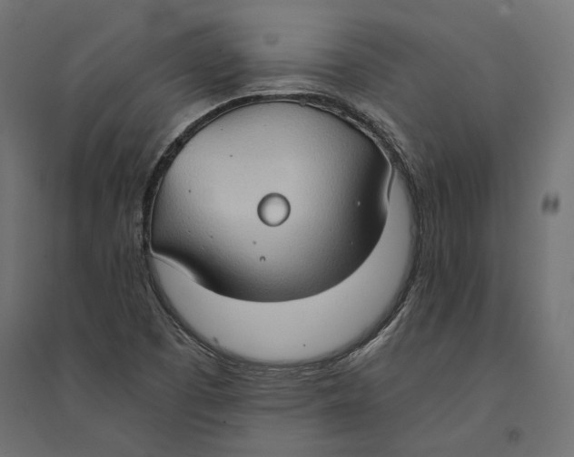 X0000094371457200711241949