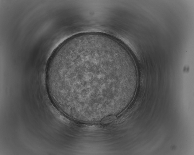 X0000094371460200711241949