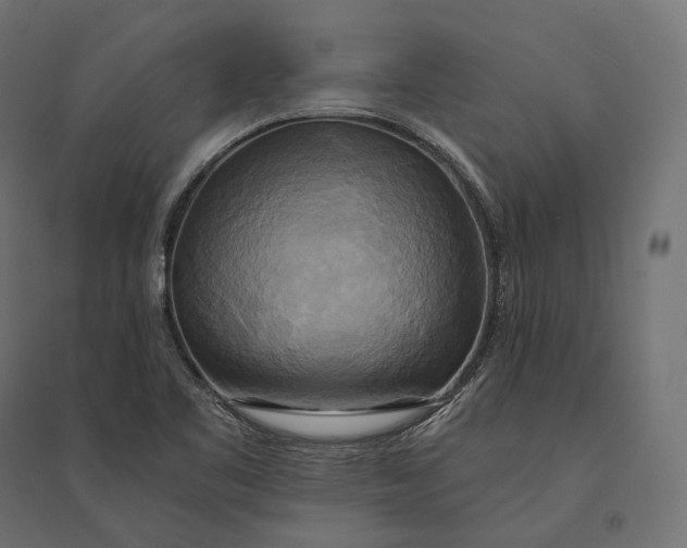 X0000094371461200711241949