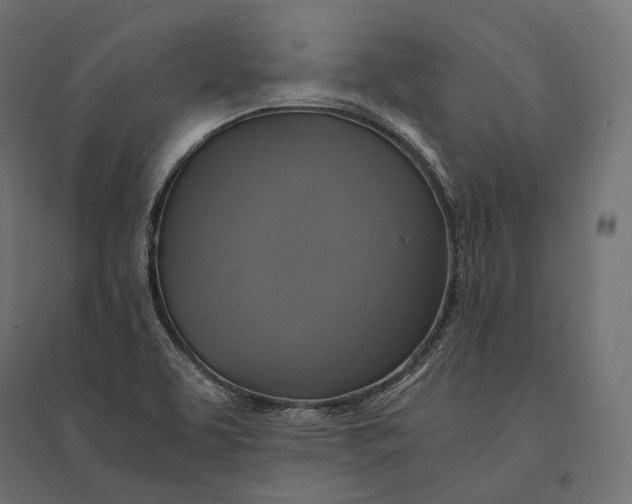 X0000094371463200711241949