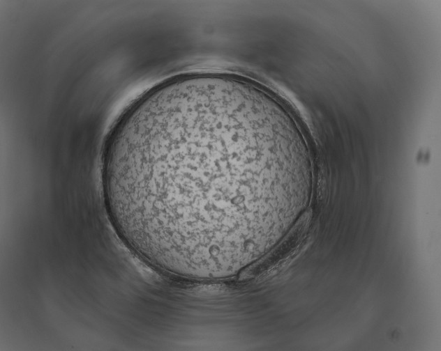 X0000094371464200711241949