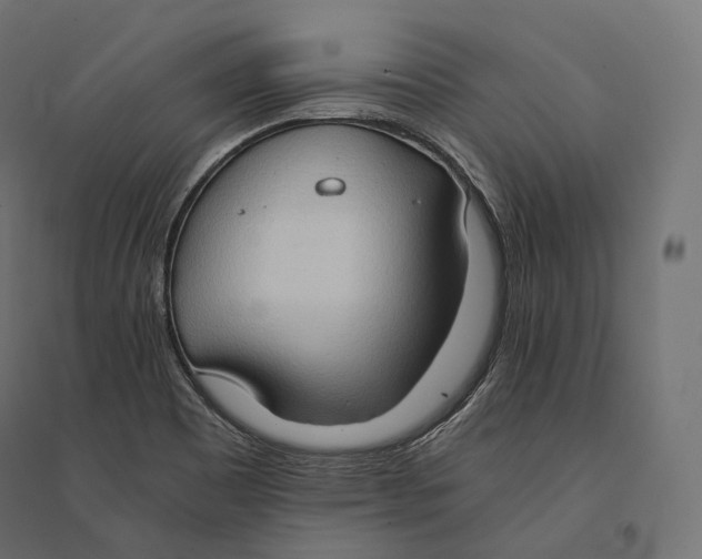 X0000094371465200711241949