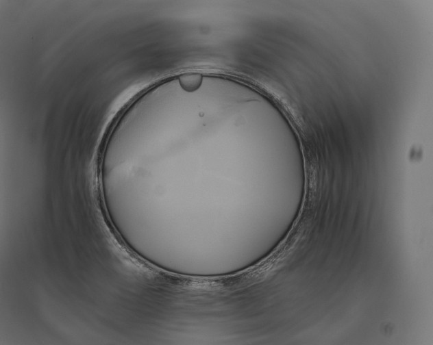 X0000094371466200711241949