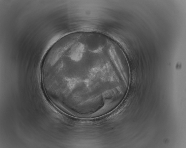 X0000094371467200711241949