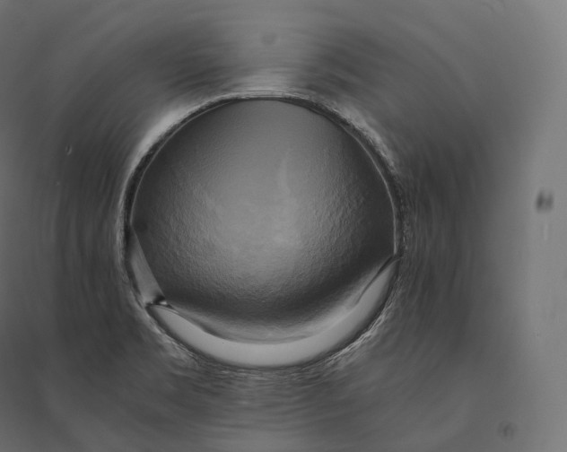 X0000094371469200711241949